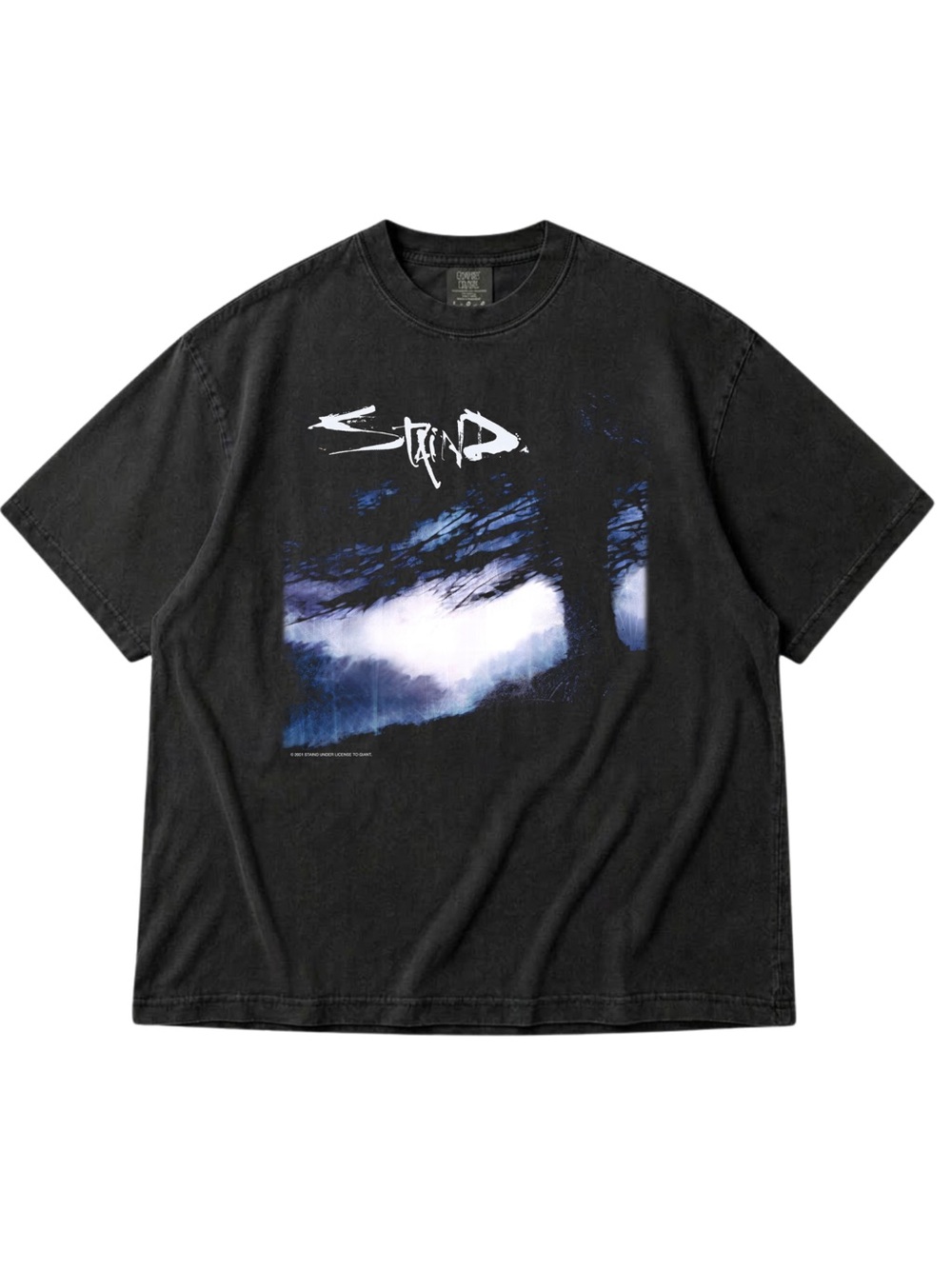 Comfort Colors Black Short-Sleeve Tee with Blue Scenic Graphic, Gift For Her,Him